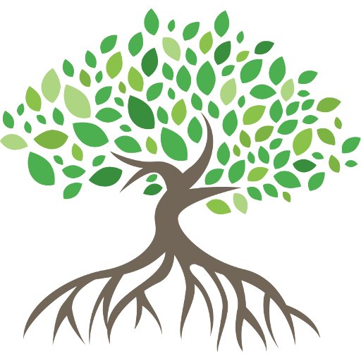 MangroveNetwork's profile picture. Providing customer-centric technology solutions to the islands of The Bahamas