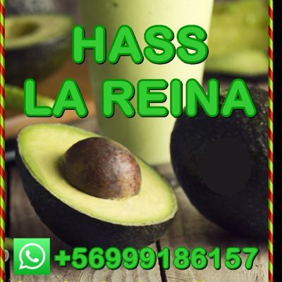Hass La reina, venta de paltas al detalle . Consulta por despachos a domicilio.