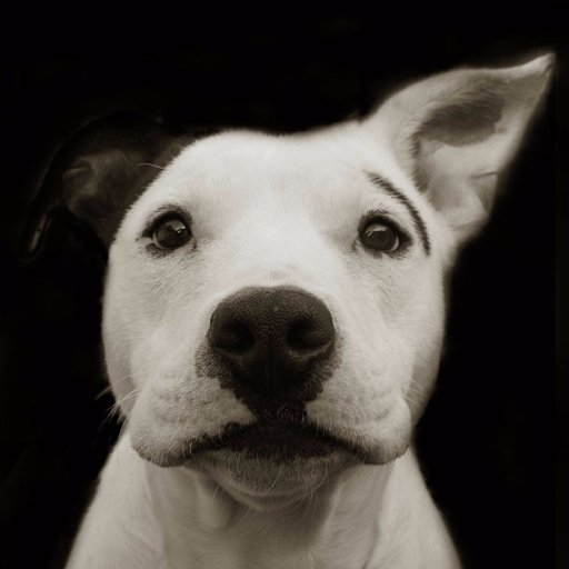 Eric01's profile picture. 
