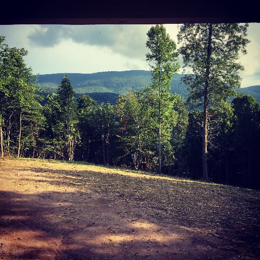 Dongola Cabin is a compact and secluded cabin nestled within the Jefferson National Forest’s Mount Rogers National Recreation Area.