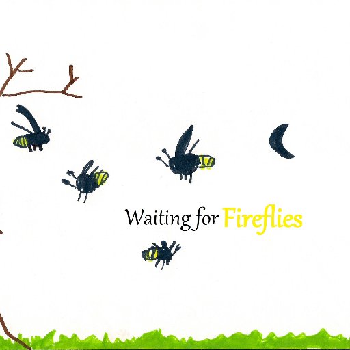 Waiting for Fireflies

Respectful parenting and Unschooling