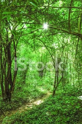 5_bamby's profile picture. 