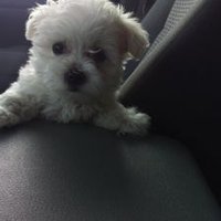 bcw (@bcwinant) Twitter profile photo