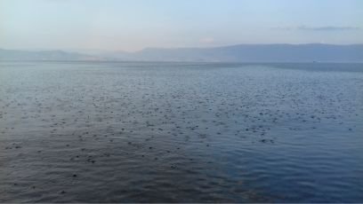 MilenaNestor's profile picture. 