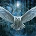 cevennes (@cevennes14) Twitter profile photo cevennes (@cevennes14) Twitter profile photo