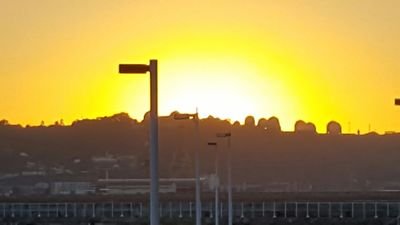 fernandollanez's profile picture. 