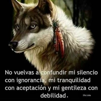 diep_flors's profile picture. Tortured with Distance Electromagnetic Neuroweapons (DEW) V2k Mind Control #TargetedIndividual #Cibertorture #Espionaje durante más d10 años 24/7 pido #JUSTICIA