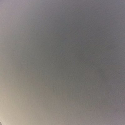 turntpenguins's profile picture. 