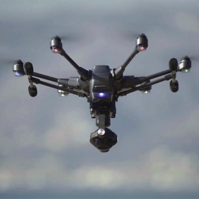 nickbpls's profile picture. 