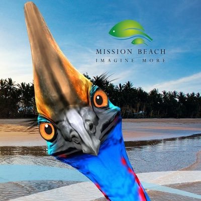 Mission Beach Tourism is the regions peak tourism body. Mission Beach is between Cairns and Townsville on the Cassowary Coast of Queensland, Australia.