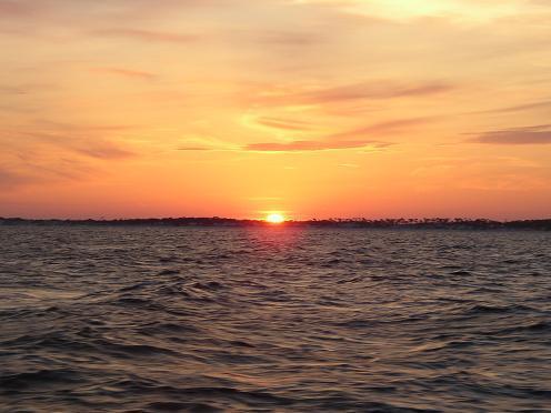 wiseproverbs's profile picture. You only live once, but if you do it right, once is enough.