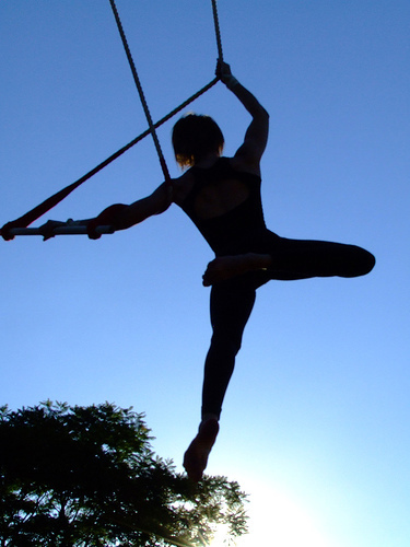 Virada_da_Lua's profile picture. 