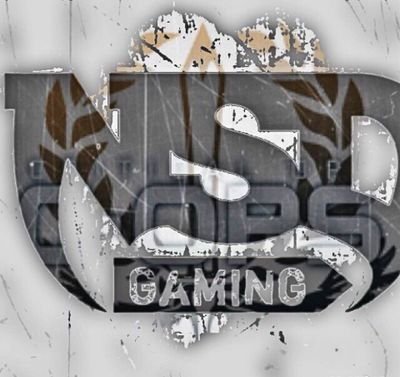 We are a critical Ops team called NsD Gaming .We are striving to be the best c ops clan we are always recruiting.