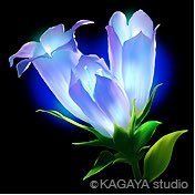 日常のつぶやき。2016年男児出産。
細々とホルン吹いてます。
FANKS箱推しやや木根さん寄り。
I love Music, Orchestra, Horn, Flower, Library, Trip, Food, Jewels, TM network, Any beautiful things.