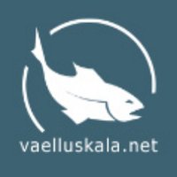 Vaelluskalaverkosto (@vaelluskalanet) 's Twitter Profile Photo Vaelluskalaverkosto (@vaelluskalanet) 's Twitter Profile Photo
