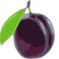Sliva (@sliva_blog) 's Twitter Profile