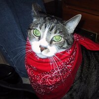 Top Sales Maker (@topsalesmaker) 's Twitter Profile Photo