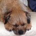 Helen Wills (@wills1968) Twitter profile photo Helen Wills (@wills1968) Twitter profile photo