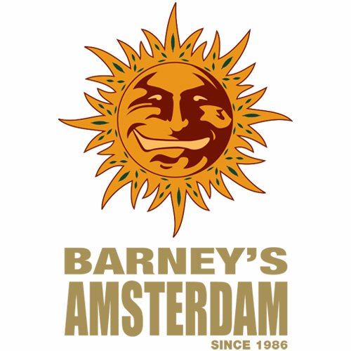 The Barneys Amsterdam Experience.  Keep up to date with everything going on at Barneys Lounge, Barneys Coffee shop & Barneys Uptown.