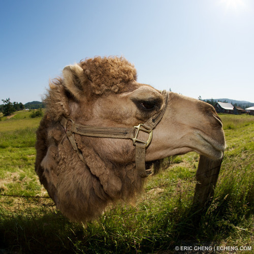 thewman's profile picture. if it don't make funny, it don't make scents