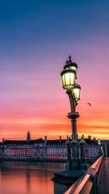 laughin60848335's profile picture. cool?