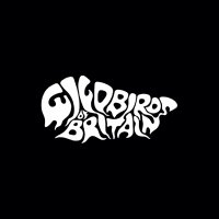WildBirdsOfBritain (@wbob_official) 's Twitter Profile