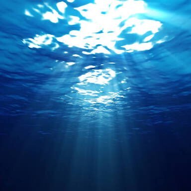 avavav12345's profile picture. 京都！始めまして、今年19です！楽しい事大好きです！適当にどうぞ！