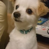 YOP多趣味 (@doctoryop55) 's Twitter Profile