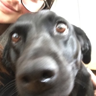 poshrobin's profile picture. 