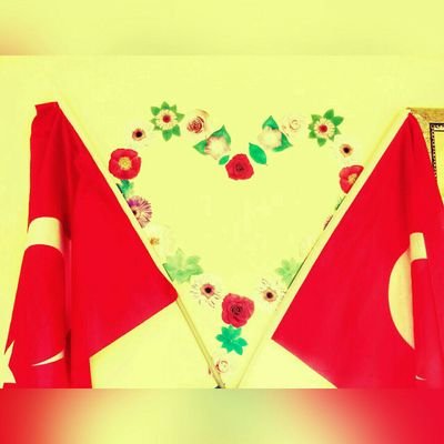 EsmaBuyuk_'s profile picture. Giresun Üniversitesi
Psikolojik Danışmanlık ve Rehberlik