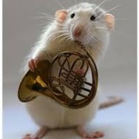 Pope Music (@popemusicians) 's Twitter Profile