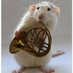 Pope Music (@popemusicians) Twitter profile photo Pope Music (@popemusicians) Twitter profile photo