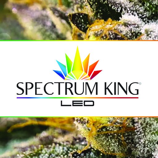 Our vision is nothing short of global transformation. Help save the environment & reduce your energy bills using safe & efficient LEDs in your home & business!