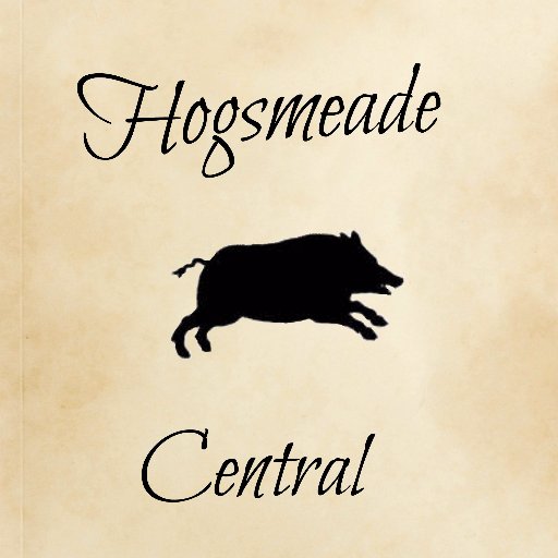 Hogsmeade Central is the place for Potterheads. We offer magical items based on the films and books. From apparel to wands, we have it all!