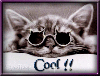 norrstar's profile picture. 