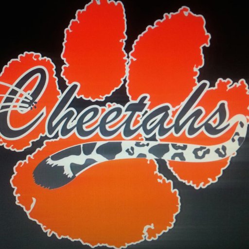 The official page for Cheetahs, home to champions for 21 years and counting.