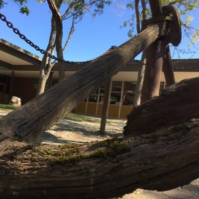 Sehome High School Profile