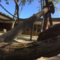 Sehome High School (@sehomehs) 's Twitter Profile