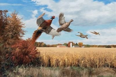 HunterIso's profile picture. 