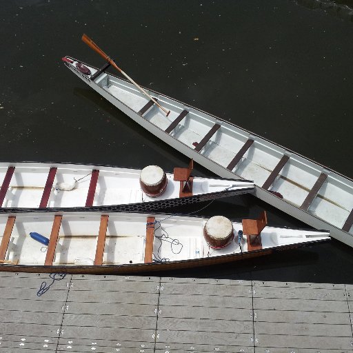 honeybadgersdbc's profile picture. Follow and Paddle with the Honey Badgers Dragon Boat Crew where you are welcome and encouraged to be the best YOU, Fearlessly Authentic.