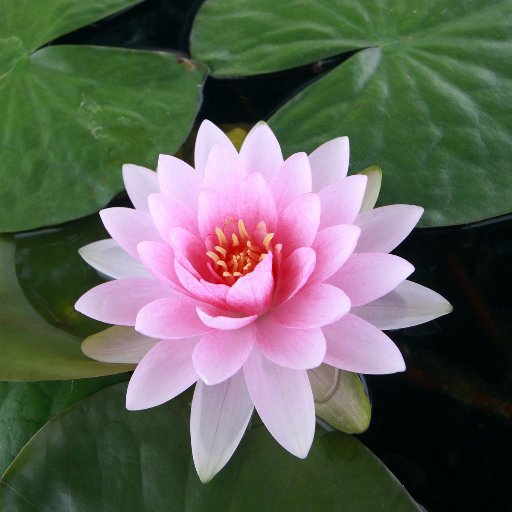 kmotiv87's profile picture. Self-help publisher & author