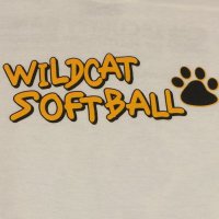 Cassville Softball (@cassvillesb) 's Twitter Profile