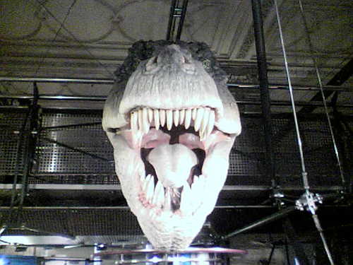 Hamdamcwa's profile picture. Luxury tweeting...