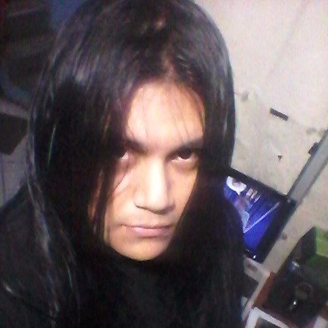 OvermetalGF's profile picture. Hola Insectos ._./