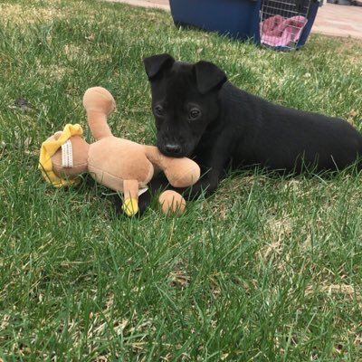 teddybearbabe31's profile picture. 