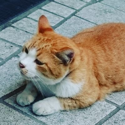 prpryj's profile picture. ぬるっと生きる