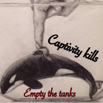 Empty the tanks. End orca captivity.