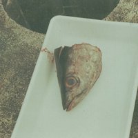 Arriguri (@arriguri) 's Twitter Profile