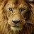 juan_inspire's profile image