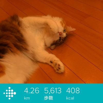 a_shiozawa's profile picture. 市販調味料配合研究家/神奈川県内スポーツ観戦、スタジアム巡りをしています。特に好き⇒【野球】高校/大学/社会人/ドラゴンズ【サッカー】SC相模原/大和シルフィード【バスケ】三遠ネオフェニックス【芸能人】バカボン鬼塚/高橋茉菜/斉藤優里/永島聖羅/土生瑞穂【ラジオ】k-mix ピンソバ/モーニング ラジラ